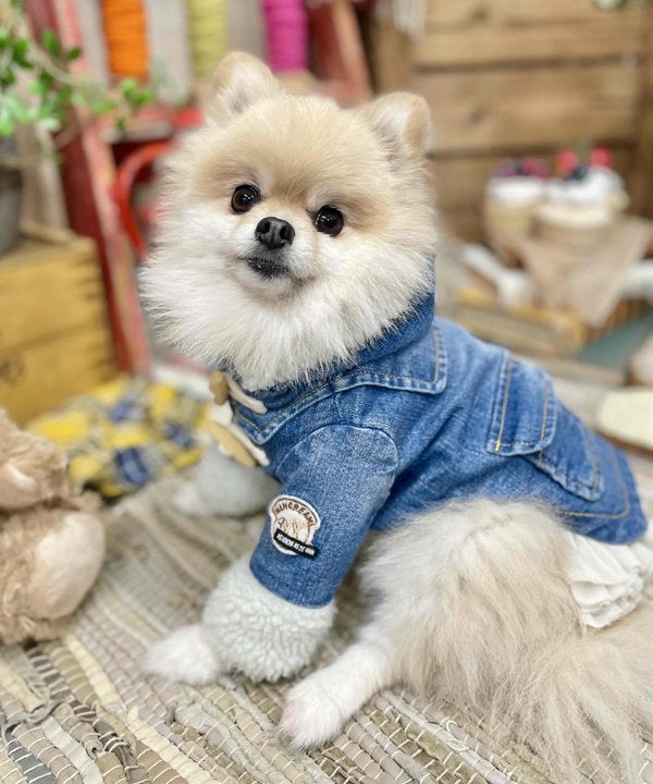 デニムボアダッフルコート | AS KNOW AS オンラインショップ