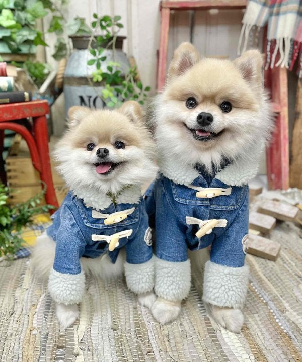 デニムボアダッフルコート | AS KNOW AS オンラインショップ