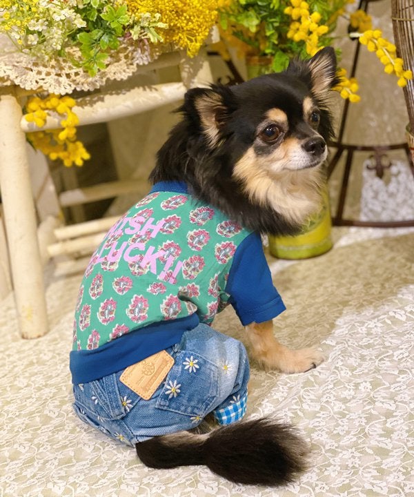愛犬とオソロでエスニック風　洋服　チュニック as know as dewan Nサラサ柄エスニックSH | AS KNOW AS オンラインショップ