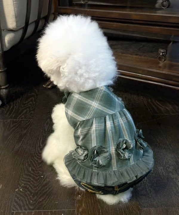 デワン | 愛犬とママ パパのお揃いコーデも取り扱う犬服通販サイト