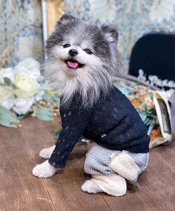 デワン | 愛犬とママ パパのお揃いコーデも取り扱う犬服通販サイト