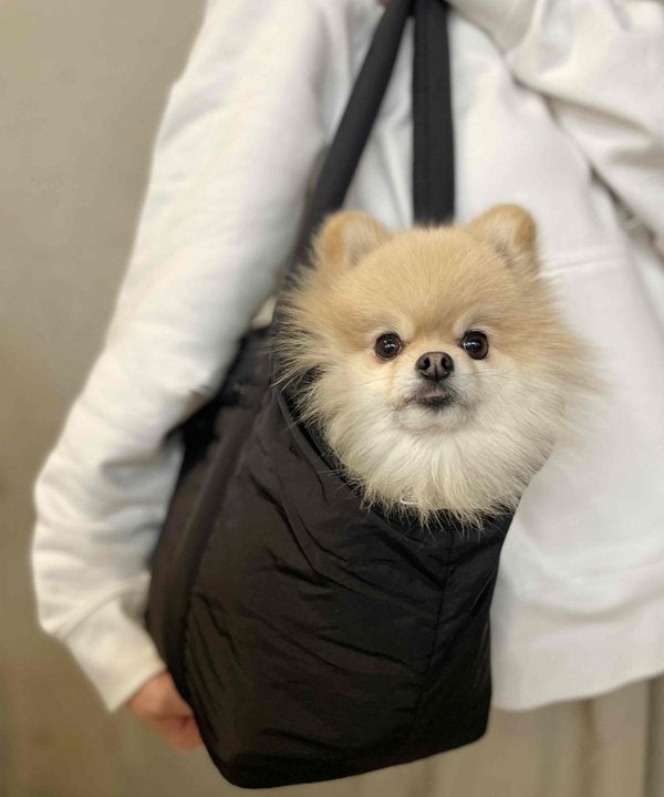 アズノゥデアズワン　Sサイズ ペット用スリング　犬用　キャリーバッグ　ミント 2026年最新】as know as de wan 犬用 キャリーバッグ・スリングの人気