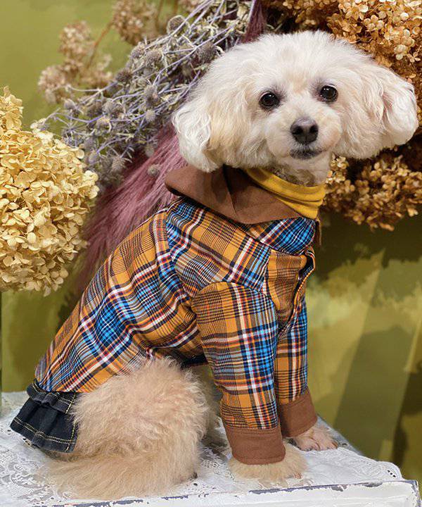 フード付きチェック柄犬服（Asknowas）　0号 NゴールドケアchkPK | AS KNOW AS オンラインショップ