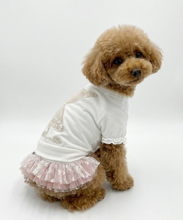 AS KNOW AS【小型犬お洋服】Tシャツ NシャドーガールぐるT | AS KNOW AS オンラインショップ