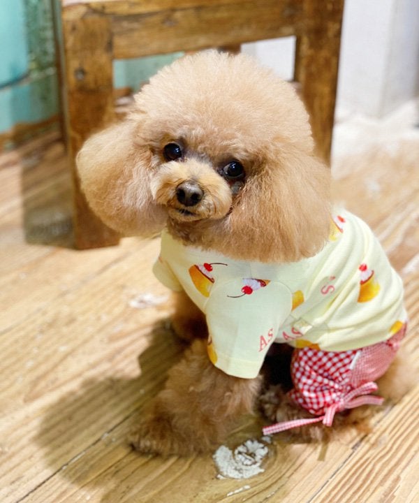 プリン
